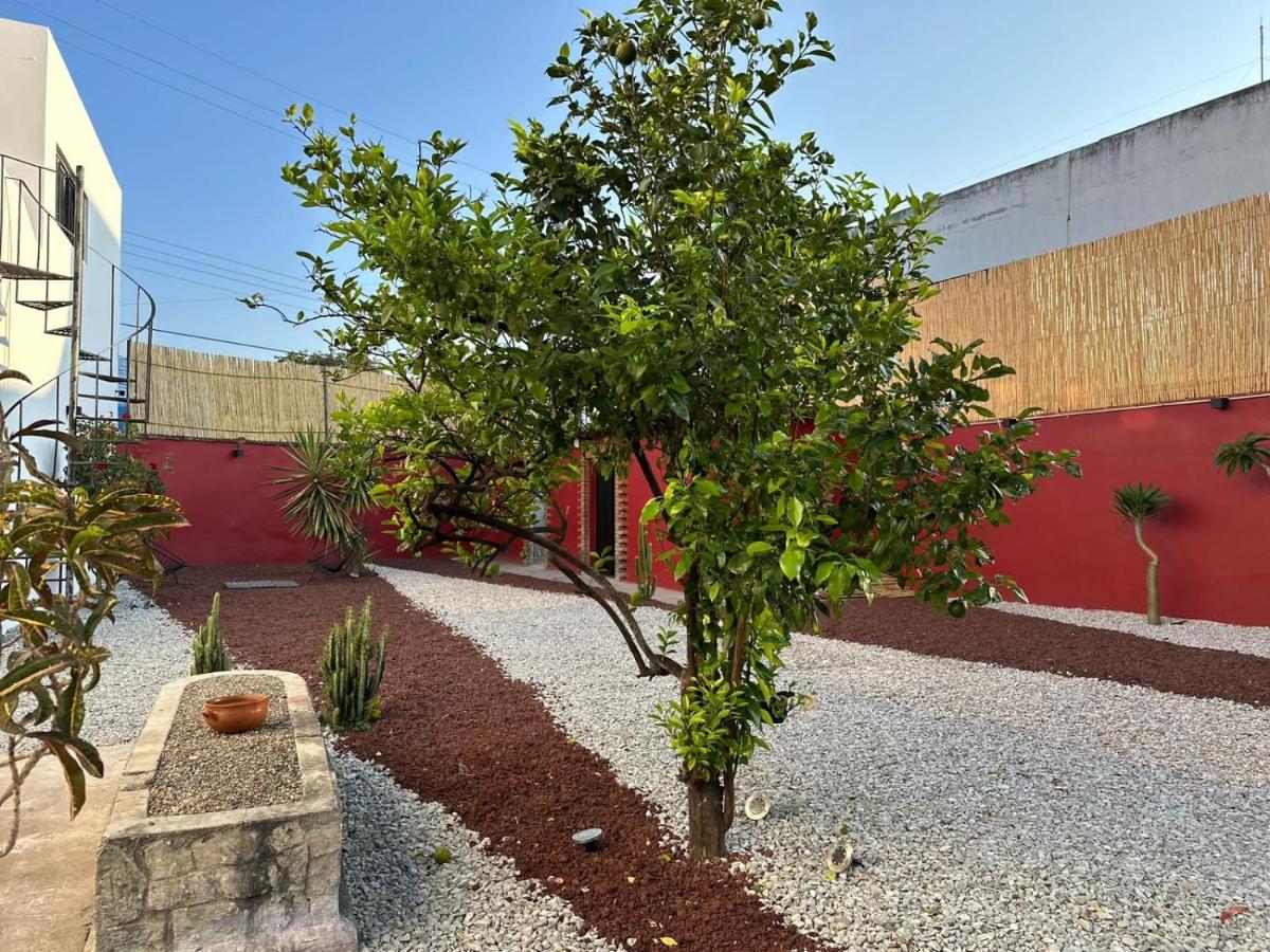 Posada Independencia Oaxaca Екстер'єр фото